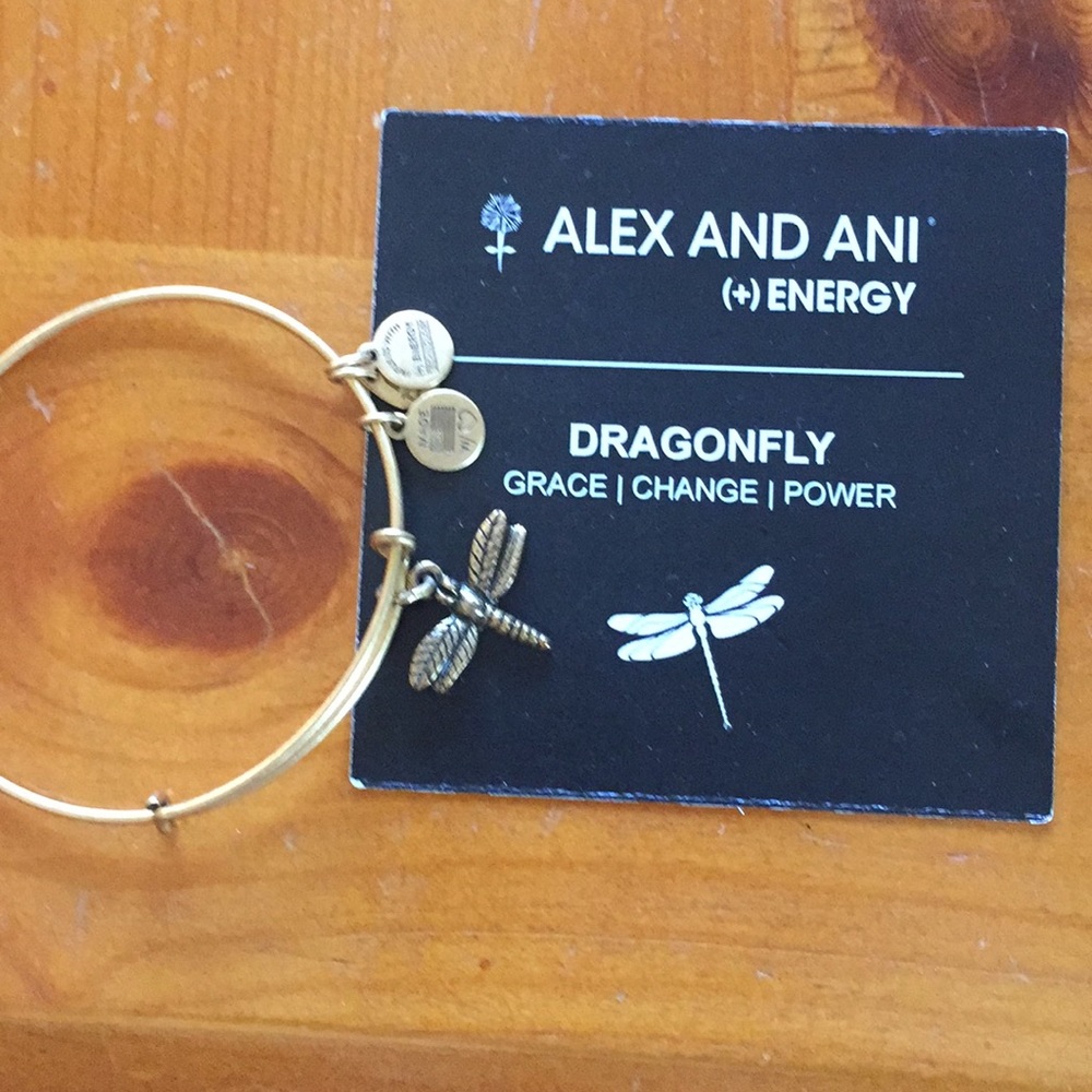 Alex and Ani Dragonfly charm bracelet